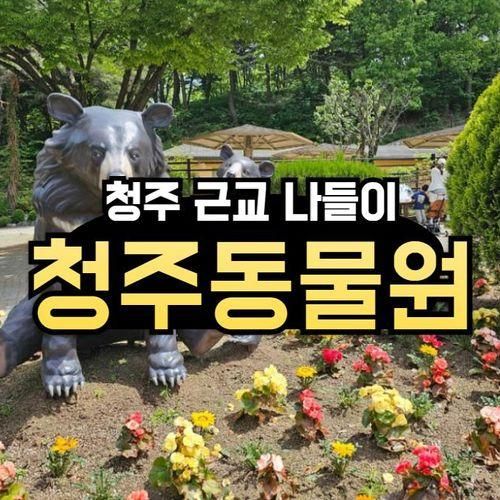 청주동물원 청주나들이 입장... 청주랜드동물원...