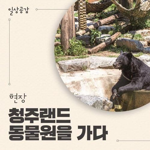 청주 가볼 만한 곳, 위기의 동물들의 보금자리 '청주랜드동물원'