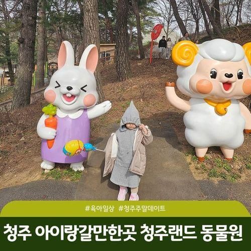 청주 동물원 가성비 좋은 아이와 가볼만한 곳 갈비사자...