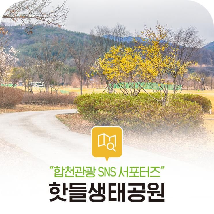 합천 산책 코스 추천! 봄 기운 물~씬 느껴지는 핫들생태공원!