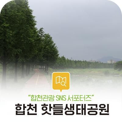 산책할 수 있는 곳, 메타세콰이어 산책길 합천 핫들생태공원!