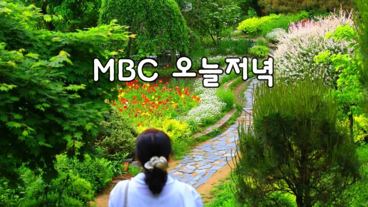 MBC 오늘저녁 방영 되는 칠곡 시크릿가든