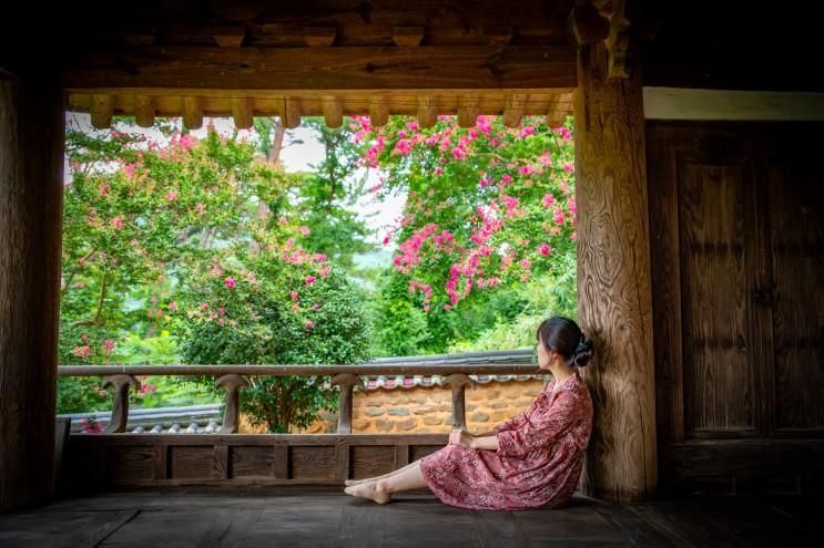 경남_밀양_오연정_#배롱나무_#밀양여행_#밀양가볼만한곳