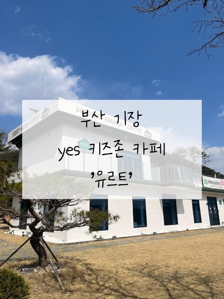 부산 기장 yes(예스) 키즈존 카페 '유르트'