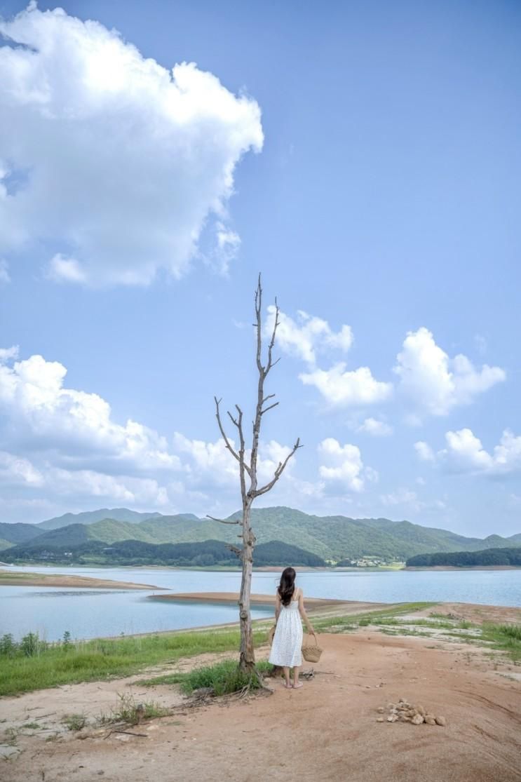 [대전] 한국의 스위스 대청호... 호반낭만길 (명상정원...