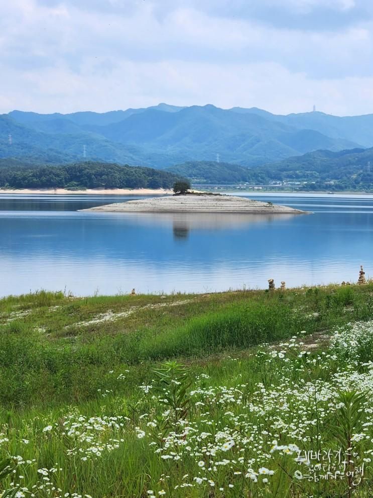 대전 대청호 산책로 오백리길, 명상정원... 대전 드라이브 코스...