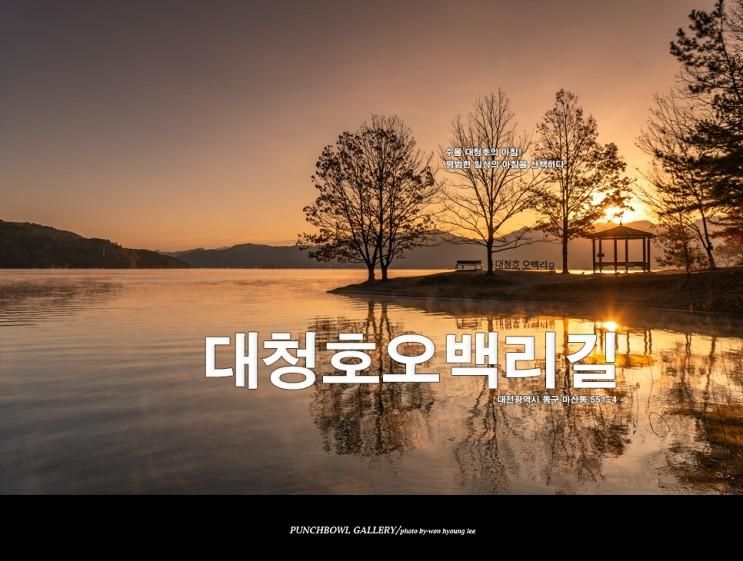 대청호 명상의 정원 일출, 대전 가볼만한곳