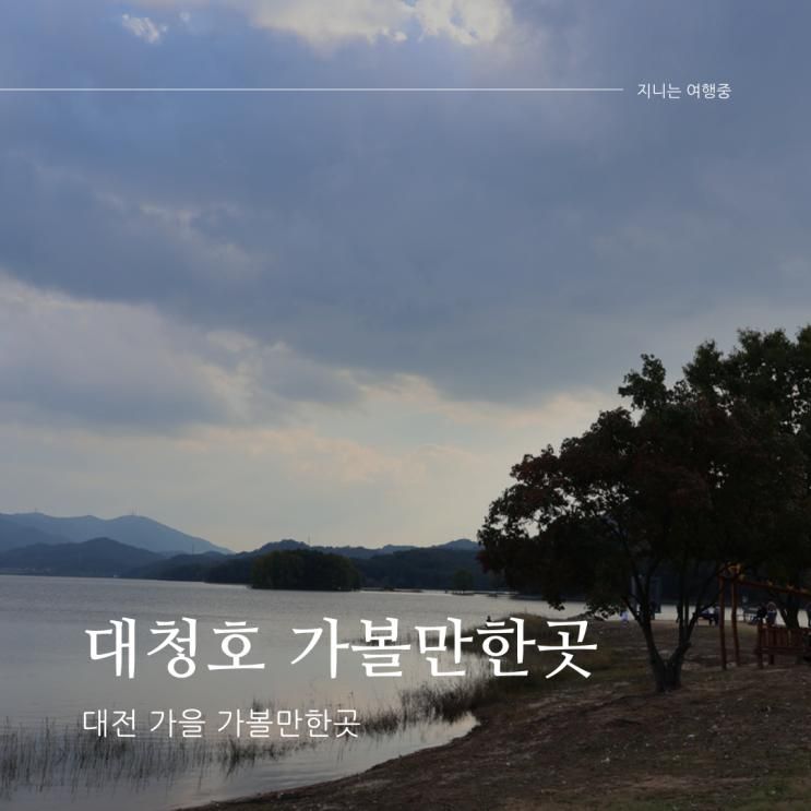 대전 대청호 오백리길 산책 코스 추천 (수변공원, 명상정원...