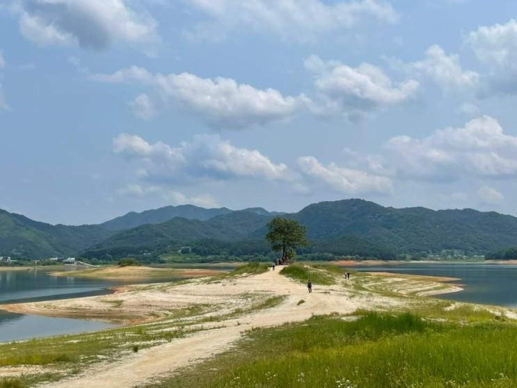 대전 가볼만한곳 대청호 오백리길 4구간 호반낭만길 명상정원