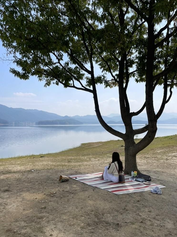 대전 가볼만한 곳 : 대청호 명상정원 | 대전피크닉장소추천...