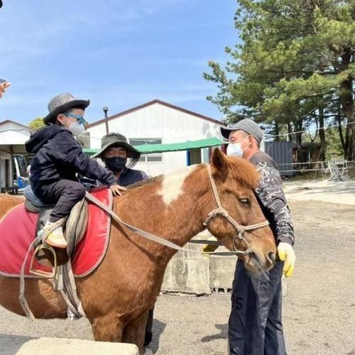 아이랑 제주::구좌읍 송당 승마장::말타기 체험