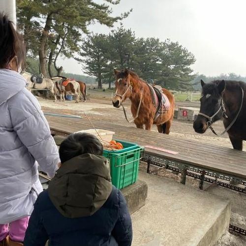 두아이와 제주여행5(송당승마장, 안친오름, 백약이오름...