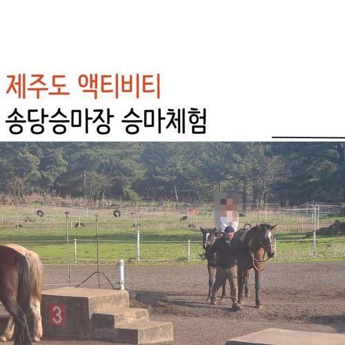 제주도 액티비티 승마체험 송당승마장 후기