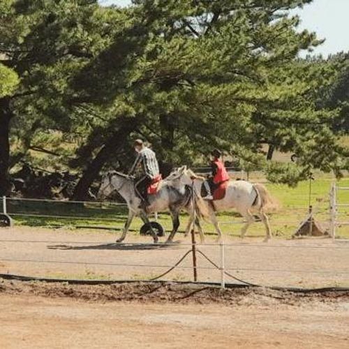 제주도 승마체험 아이와 가볼만한 곳 송당승마장