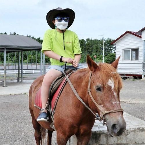 제주 송당 승마장 - 스누피 가든 가는 길에 승마체험하기