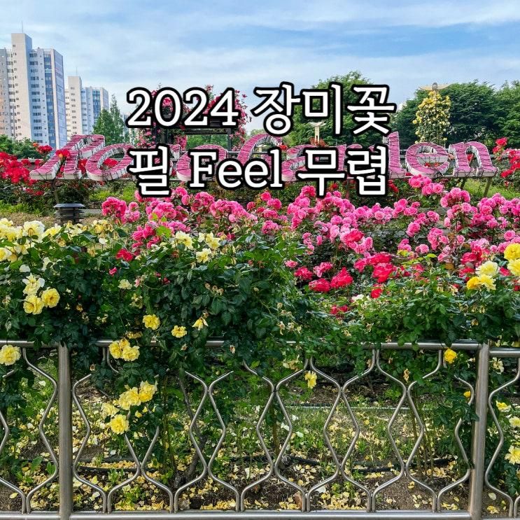 대구 이곡장미공원 축제 2024 장미꽃 필 Feel 무렵 기본정보...