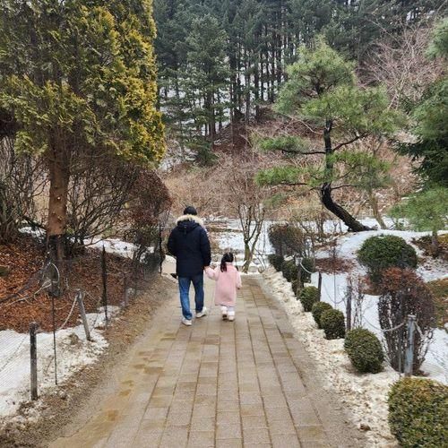 [가평] 아침고요수목원 겨울 산책, 모아이 카페