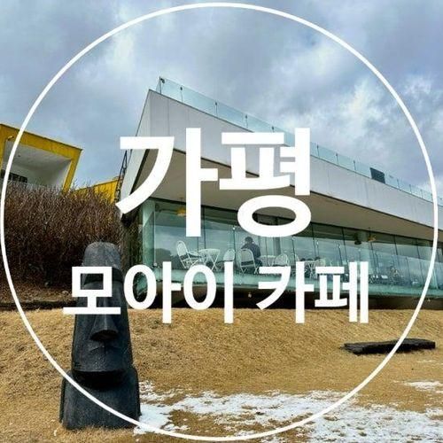 가평 상면 아침고요수목원 근처 축령산 뷰 애견 동반 모아이카페