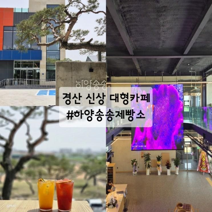 경산 신상 하양카페 하양송송제빵소 미디어아트 맛집