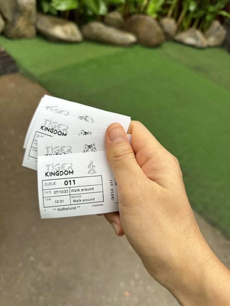 [2023 태국 여행] 치앙마이 타이거 킹덤, 시암 곤충 박물관