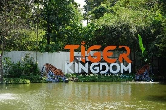 치앙마이 타이거킹덤(Tiger Kingdom), 2