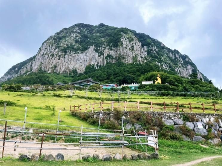 내돈내산후기 산방산 승마체험 단돈 만원 추천해요