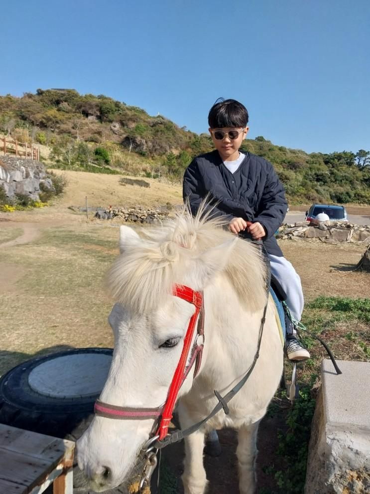 서귀포시승마체험할 때 "산방산승마체험(스토리하우스)"에서...