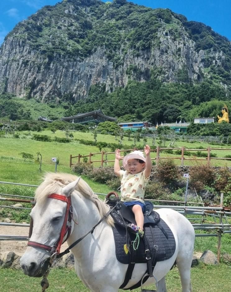 3살 아기 제주 승마체험, 산방산에서 만원에 즐겨요