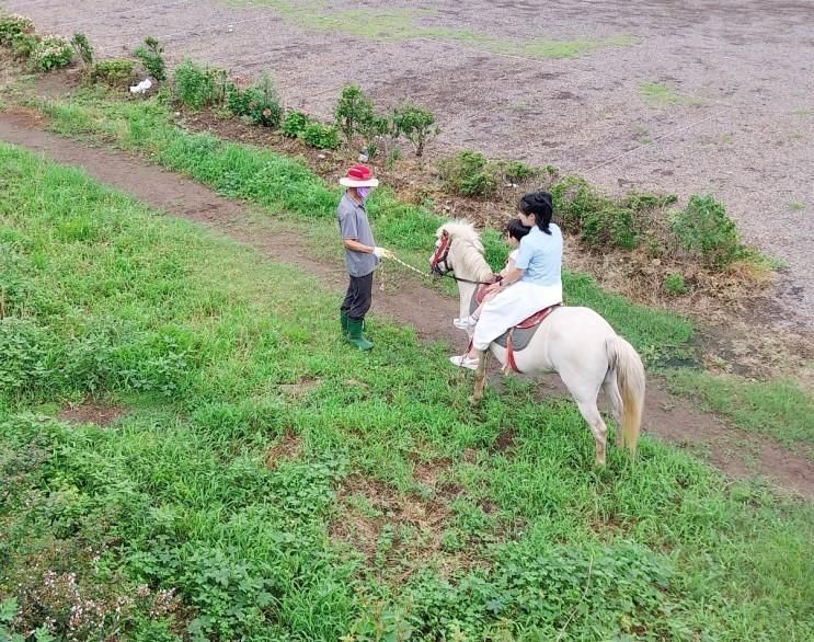 제주도 승마체험 사진 남길 수 있는 산방산승마체험