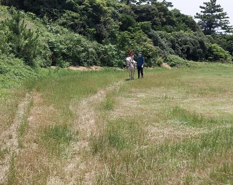 제주도승마체험 알아본다면 산방산승마체험에서 승마체험...