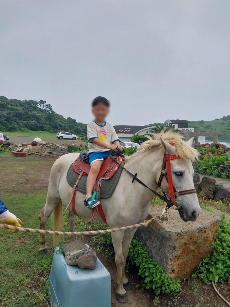 제주도 승마체험 산방산 승마체험 추천