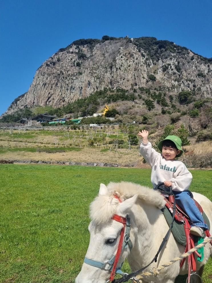 [20230316~ 20230319] 제주여행, 제주도 산방산 승마체험...