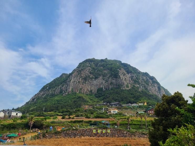 서귀포 가볼만한 곳 : 산방산랜... 산방산 승마체험