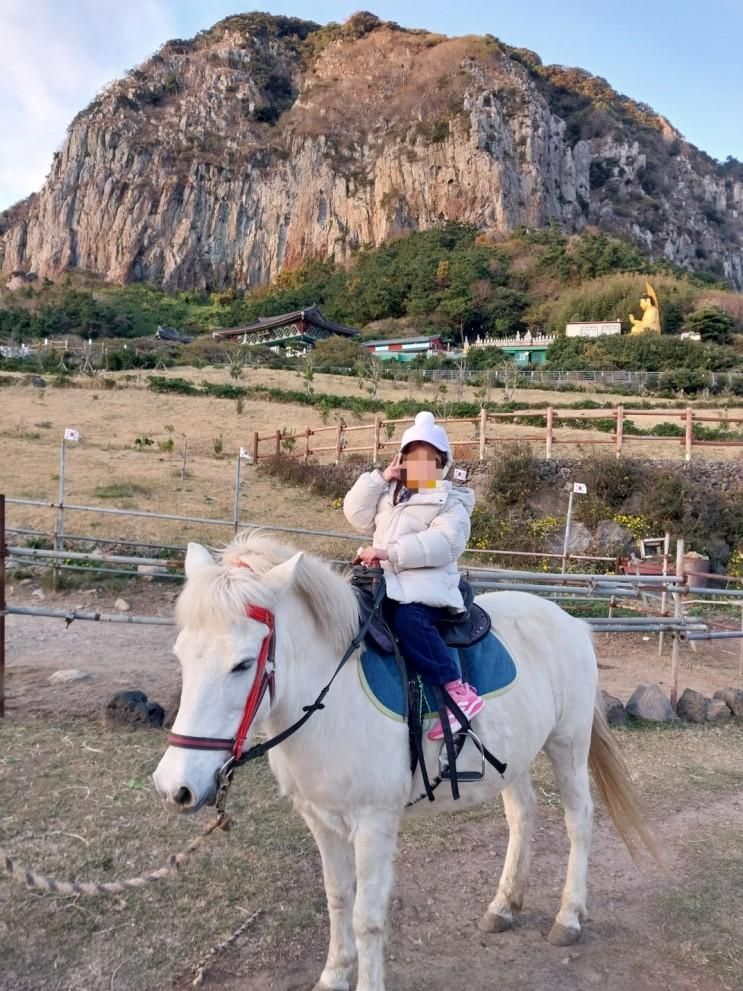 서귀포시승마체험은 산방산승마체험(스토리하우스)에서 해요