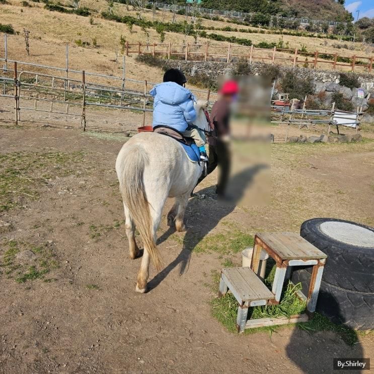 제주도 서귀포 저렴한 승마체험 산방산승마체험