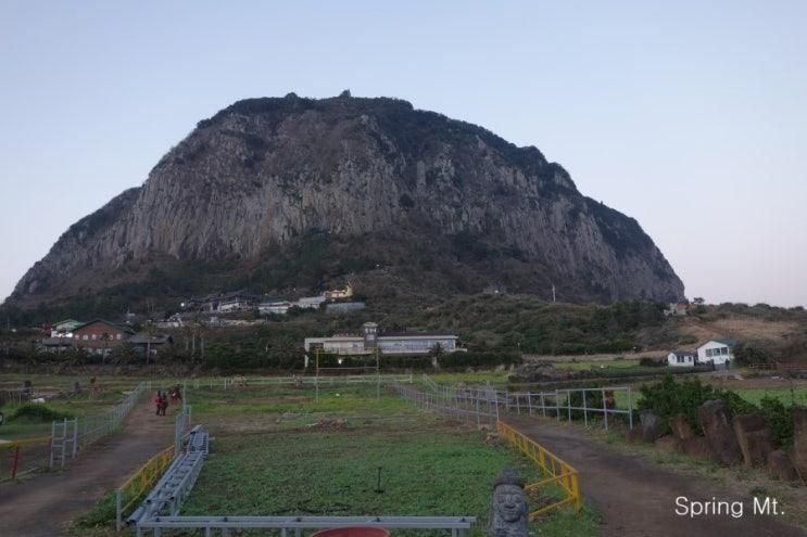 [제주도 산방산] 산방산승마체험