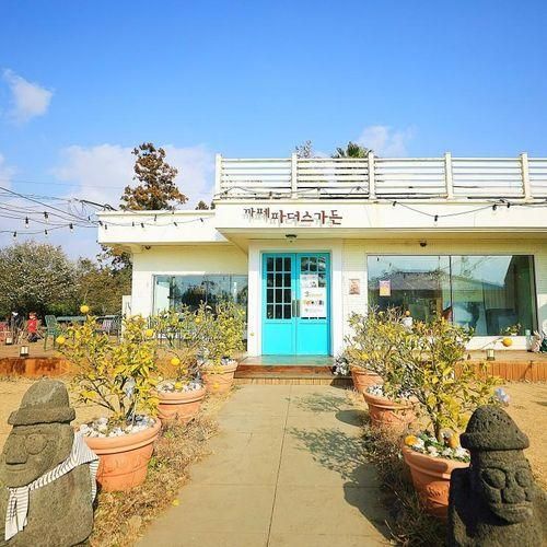 제주 파더스가든 귤따기, 동백꽃, 포토존, 동물농장 다 돼!
