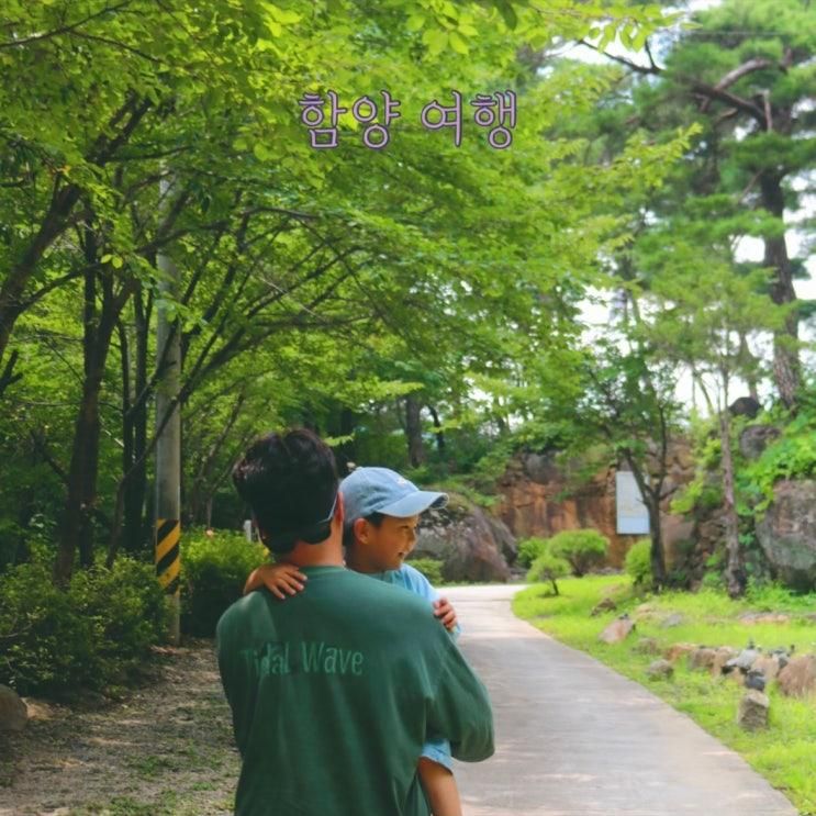 [함양 여행] 함양 별문성한옥체험관 / 함양 숙소 / 함양 카페...