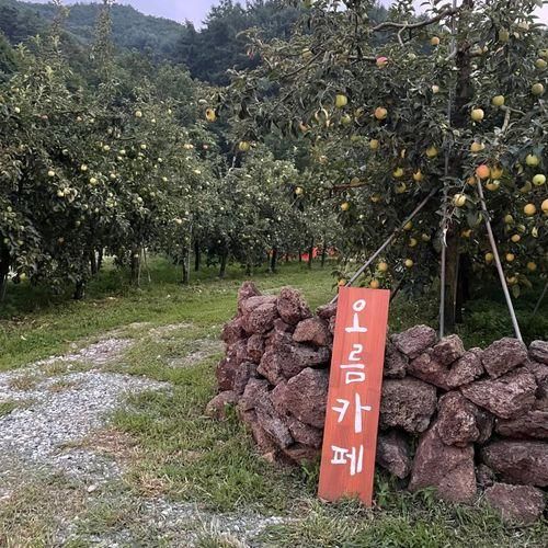 충주 직동 신상카페, 제주도 느낌 물씬 나는 '오름카페'