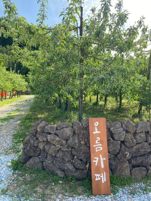 [충주] 직동 마운틴뷰 신상카페 : 오름카페