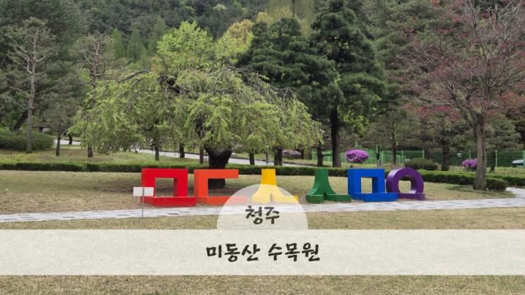 청주 산책하기 좋은 곳 미동산 수목원