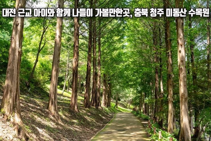 근교 아이와 함께 나들이 가볼만한곳 충북 청주 미동산 수목원