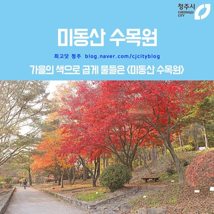 가을의 절정을 만나볼 수 있었던 청주 <미동산 수목원>