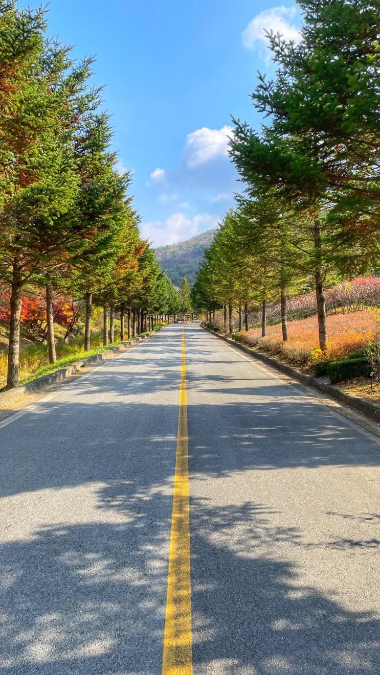 청주 여행 단풍이 너무 예쁜 미동산 수목원