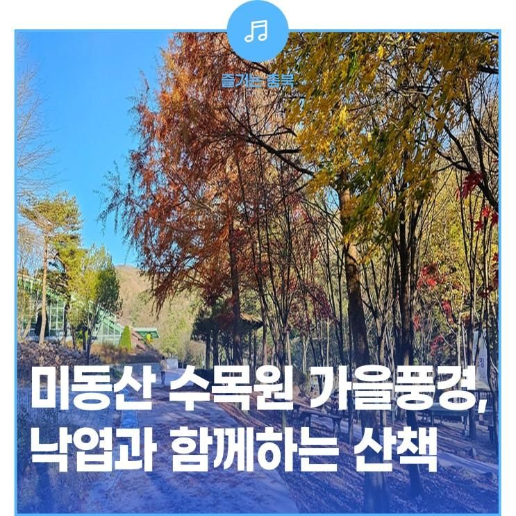 미동산수목원 가을 풍경 - 낙엽과 함께하는 산책