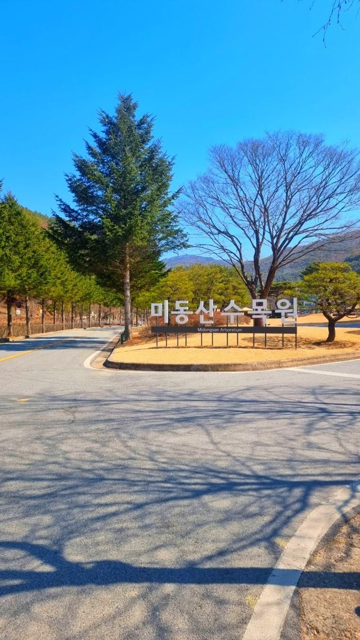 충북 청주 여행 추천 가볼만한곳 꽃구경 나들이 미동산수목원