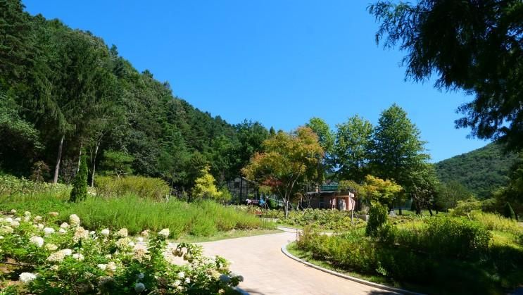 대전 근교 가볼만한곳 : 청주 미동산 수목원 가을 나들이