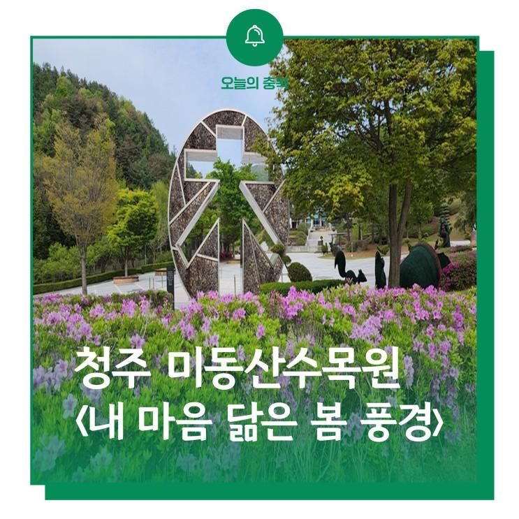 (청주) 미동산수목원 나들이 (feat ‘내 마음 닮은 봄 풍경’...