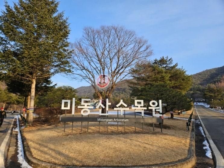 [청주 산책 코스] 걷기 좋은 '미동산수목원' 다녀왔습니다(전국...