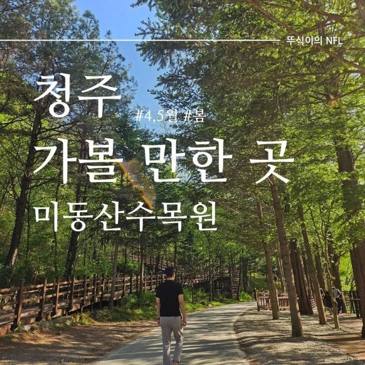 [청주]가볼 만한 곳 미동산수목원 봄풍경